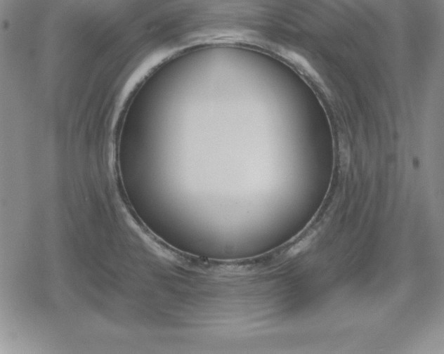 X0000080171424200612221239