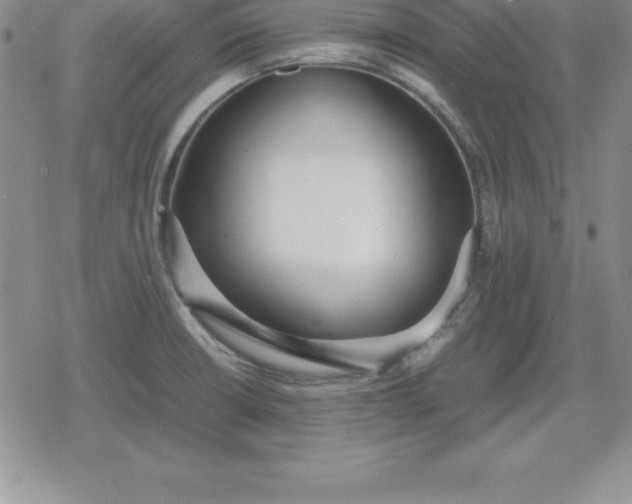 X0000080171426200612221239