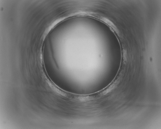 X0000080171428200612221240