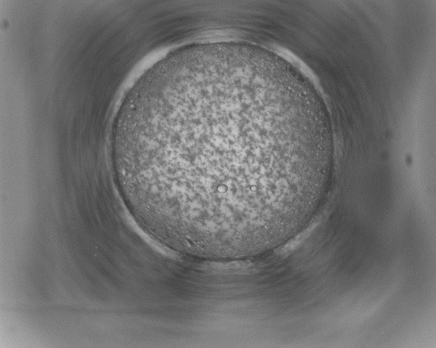 X0000080171429200612221240