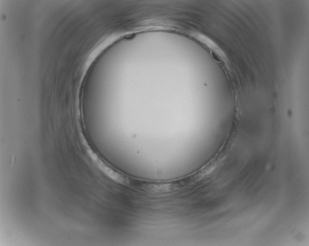 X0000080171431200612221240