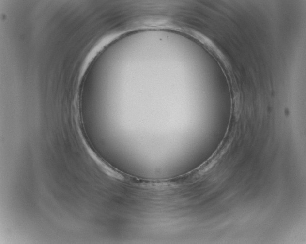 X0000080171432200612221240