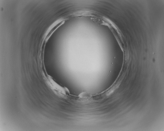 X0000080171434200612221240