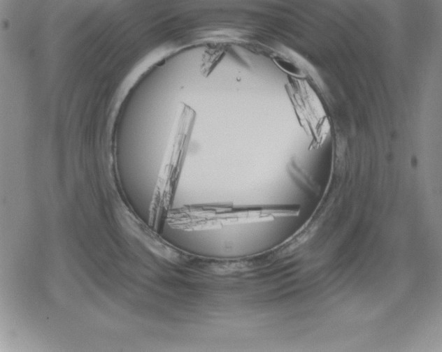 X0000080171435200612221240