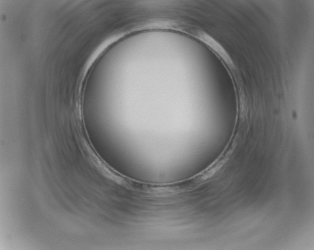 X0000080171436200612221240