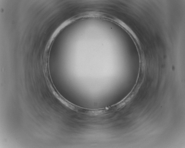 X0000080171437200612221240