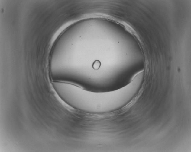 X0000080171438200612221240