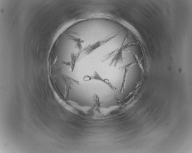 X0000080171439200612221240