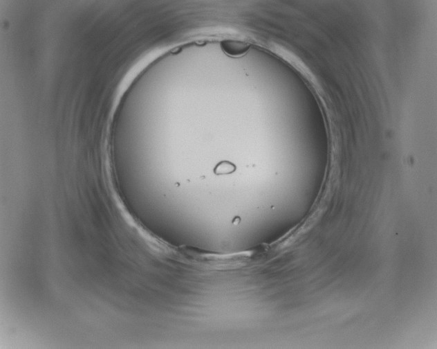 X0000080171440200612221240