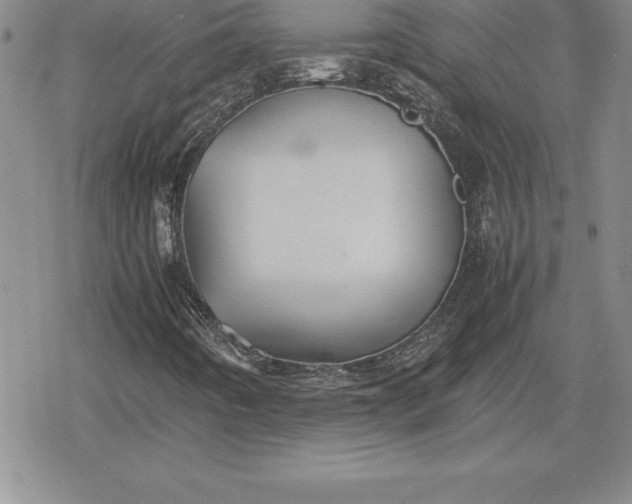 X0000080171442200612221239