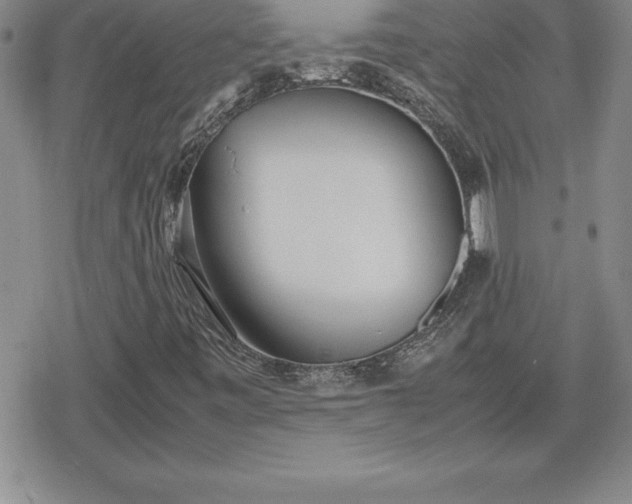 X0000080171443200612221239