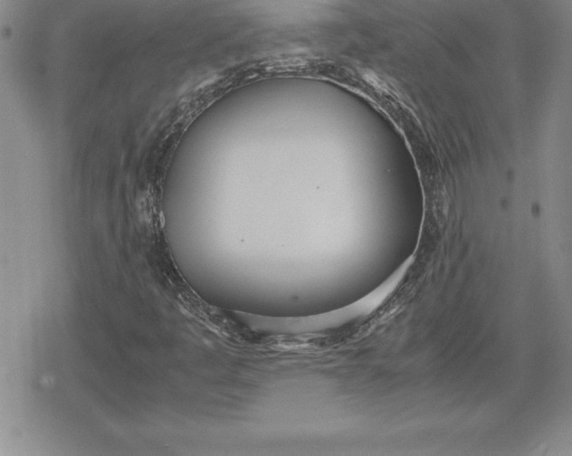 X0000080171445200612221239