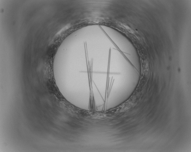 X0000080171446200612221239