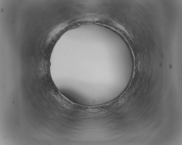 X0000080171448200612221239