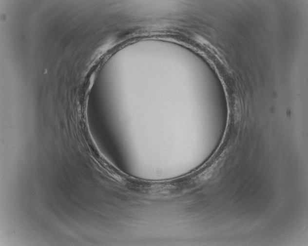 X0000080171449200612221239