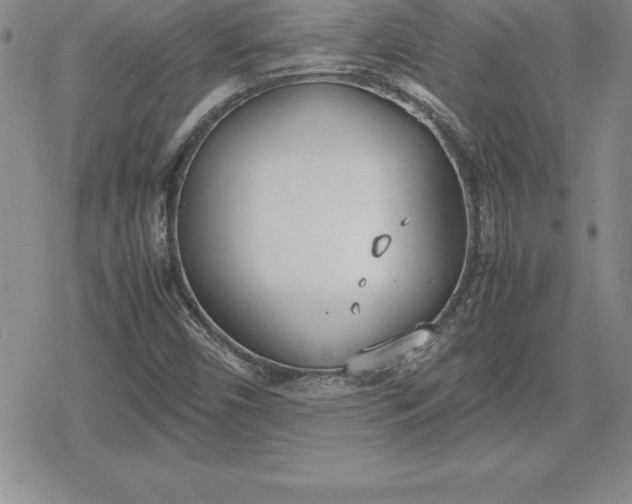 X0000080171450200612221239