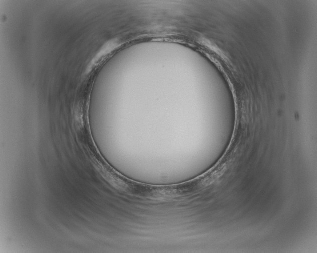 X0000080171451200612221239