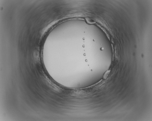 X0000080171452200612221239