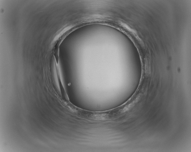 X0000080171453200612221239