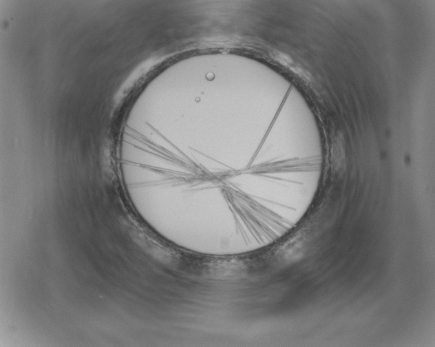 X0000080171454200612221239