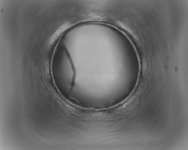 X0000080171455200612221239