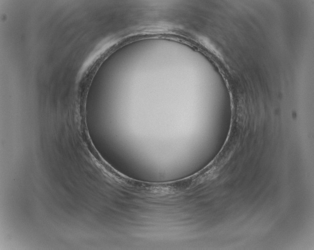 X0000080171456200612221239