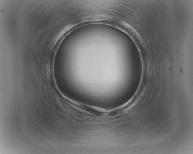 X0000080171457200612221239