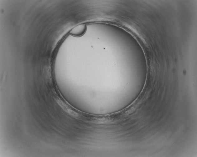 X0000080171460200612221239