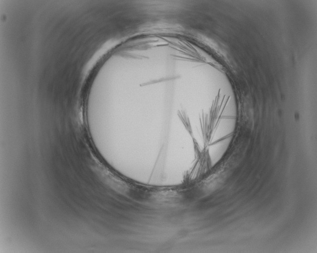 X0000080171462200612221239