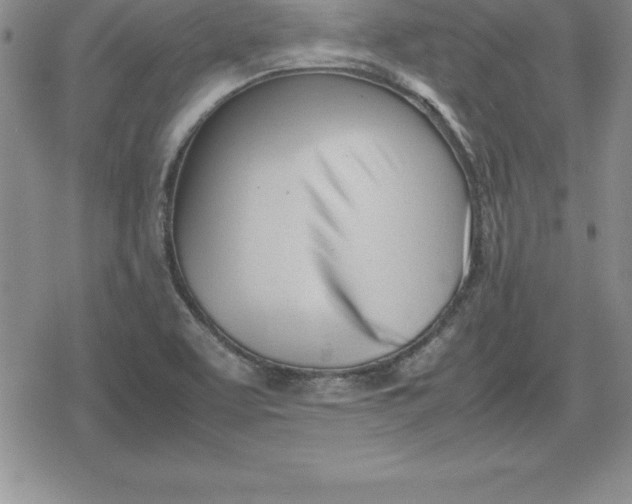 X0000080171463200612221239