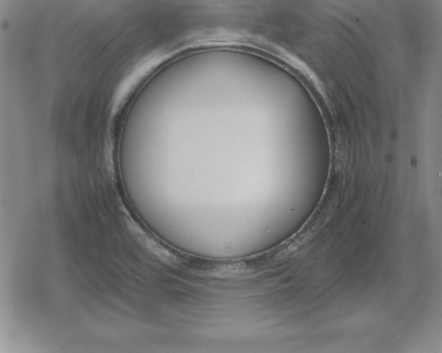 X0000080171464200612221239