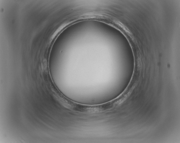 X0000080171465200612221239