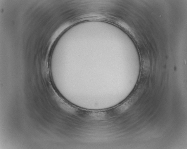 X0000080171466200612221239