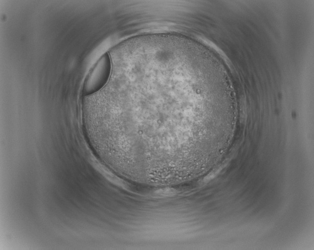 X0000080171467200612221239