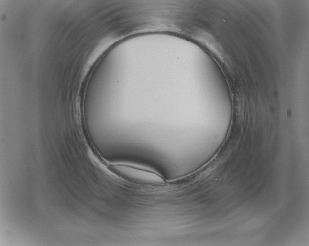 X0000080171468200612221238