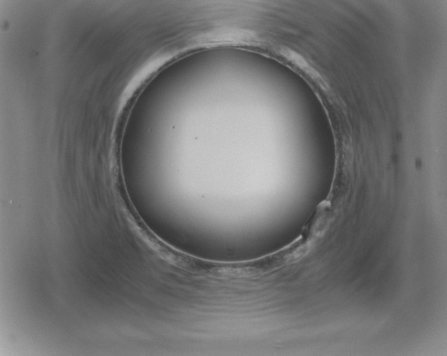 X0000080171469200612221238