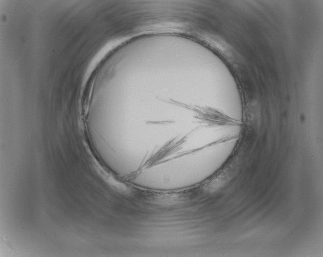 X0000080171470200612221238