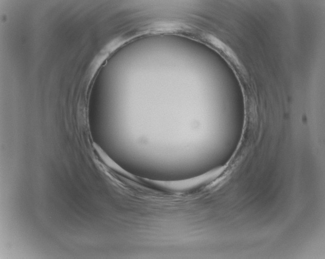 X0000080171473200612221238