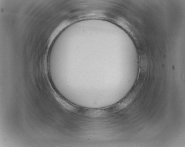 X0000080171474200612221238