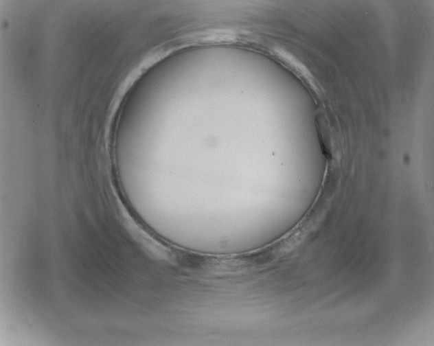 X0000080171475200612221238