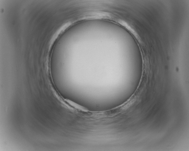 X0000080171477200612221238