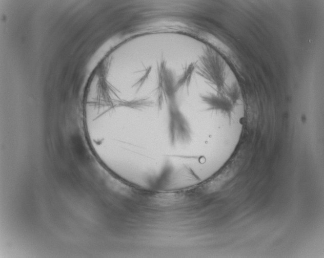 X0000080171478200612221238