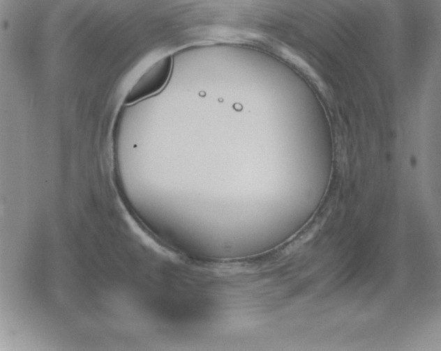 X0000080171479200612221238