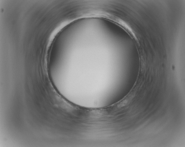 X0000080171480200612221238