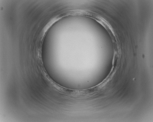 X0000080171481200612221238