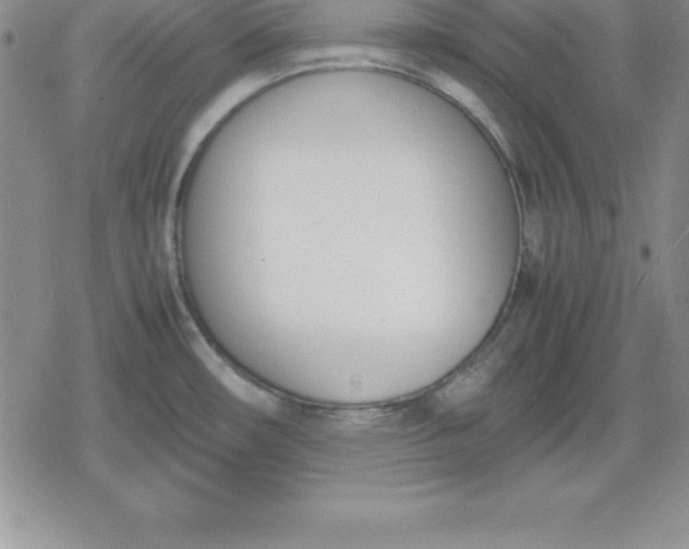 X0000080171482200612221238