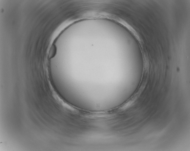 X0000080171486200612221238