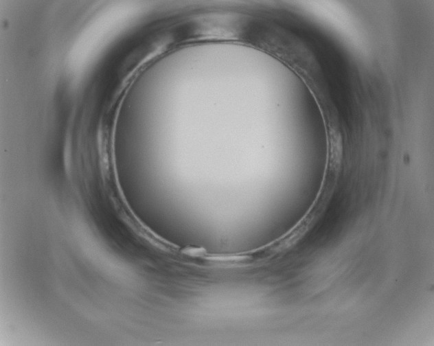 X0000080171487200612221238