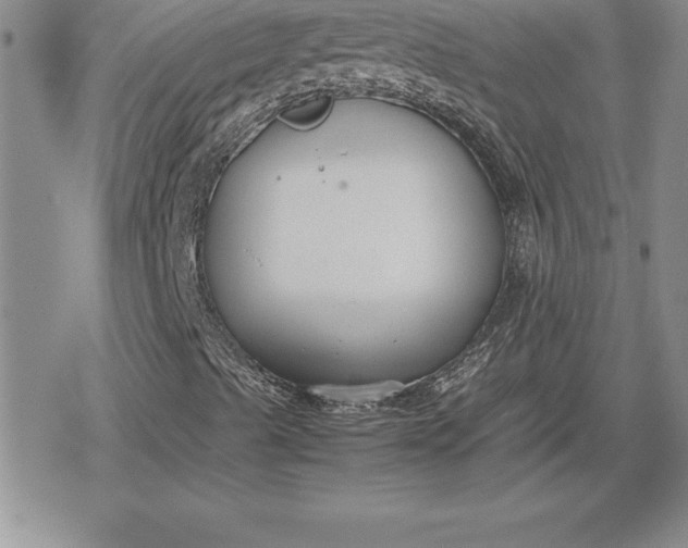 X0000080171489200612221237