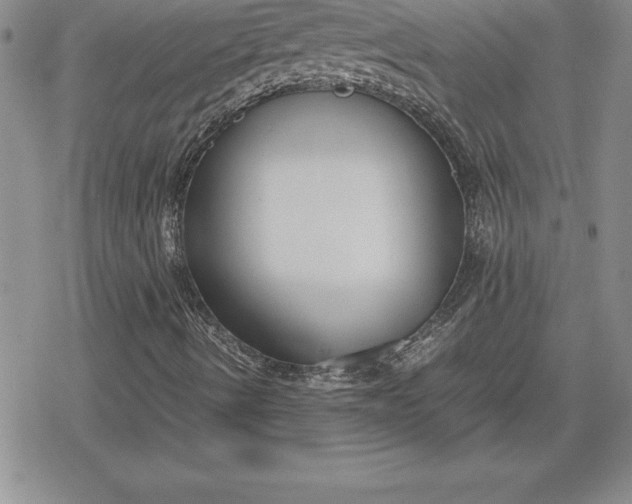 X0000080171490200612221237